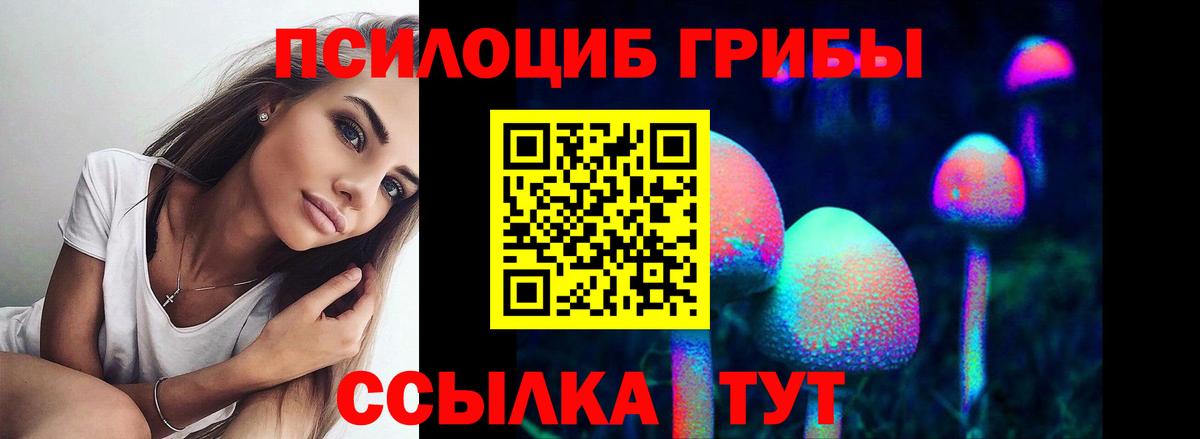 Мурино  Галлюциногенные грибы Magic Shrooms  где купить   Вход с VPN 